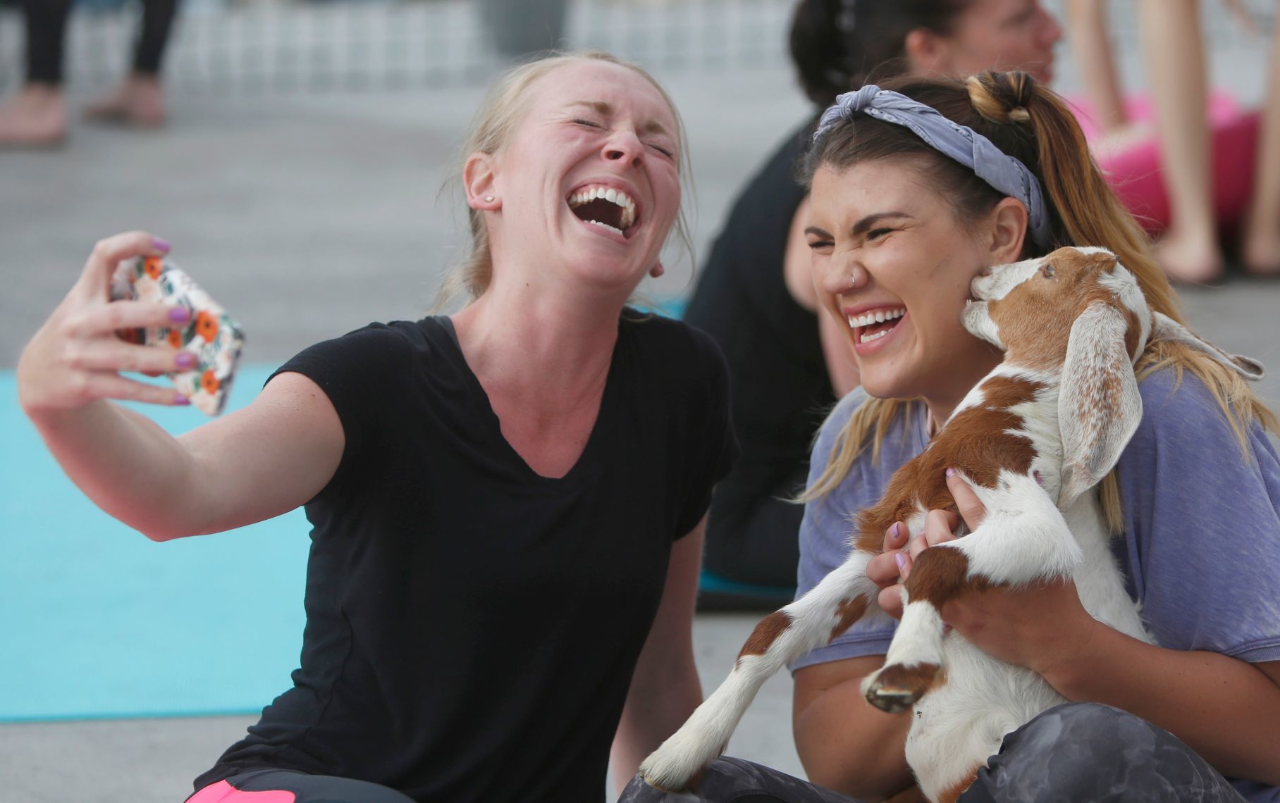 Goat Yoga comes to Billings